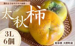 【先行予約：2025年10月中旬〜発送】※柿の生育状況が近年遅れております。この為発送時期については前後する事がありますのでご了承下さい。〜Farm m & aのこだわり〜「旬の旬をお届けした