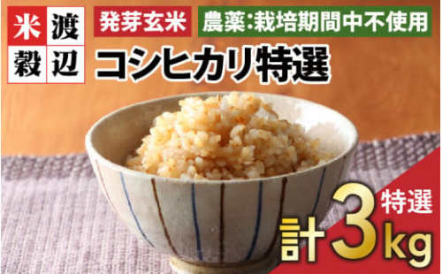 【令和6年産】【発芽玄米】 福井県産 コシヒカリ特選 真空パック 3kg  ～玄米以上の栄養価と白米に近い柔らかさ～ 【無洗米 米 玄米 こしひかり ギャバ GABA 食物繊維 栄養 真空パック ごはん ご飯 おいしい ふるさと納税米】 [A-2963] 