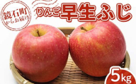 ＜先行予約＞福島県産 甘い りんご 早生ふじ 5kg （12玉～20玉） リンゴ フルーツ 果物 F6Q-287