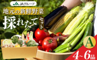 季節の野菜セットA | ヤサイ 野菜 やさい 詰め合わせ セット せっと 詰合せ 組み合わせ まとめ マトメ 奈良県 五條市 果物 新鮮 季節 お試し バーベキュー BBQ おすすめ 冬 春 夏 秋 国産 季節の野菜