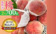 ＜25年発送先行予約＞春日居桃品評会最高賞受賞！！桃の一大産地「春日居のもも」 お試し約700g 2玉 230-006