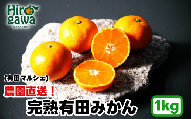 農園直送! 完熟 有田 みかん 1kg+200g(傷み補償分) [2026年11月発送予定] 秀・優混合 SSサイズ〜Lサイズ混合 ※北海道・沖縄・離島への配送不可 / 和歌山 温州みかん ミカン オレンジ 甘い フルーツ 果物 産地直送 [ard004-noen-1-11]