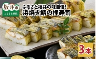 ふるさと福井の味自慢 浜焼き鯖の押し寿司の 3本セット [A-8403]