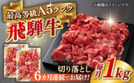 【6回定期便】A5等級 飛騨牛 切り落とし 1kg(500g×2パック) ブランド牛 最高級 A5ランク 岐阜市 / 三心 [ANGY017]