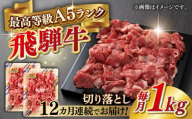 【12回定期便】A5等級 飛騨牛 切り落とし 1kg(500g×2パック) ブランド牛 最高級 A5ランク 岐阜市 / 三心 [ANGY018]