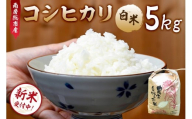 [2025年9月10日以降発送予定][令和7年産]南房総市産コシヒカリ白米5kg mi0018-0012 [お米 精米 ごはん こしひかり おにぎり ブランド米 国産米]