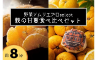 萩の甘夏 食べ比べ セット 8kg以上 20玉程度 野菜ソムリエ プロselect 甘夏 果物 デザート 柑橘 |HG001024