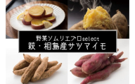 【352047001025】サツマイモ 4kg 萩・相島産 野菜ソムリエ プロselect 芋 お芋 野菜