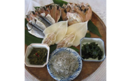 【352047001050】萩のおいしいお魚セット 6種 あじ のどぐろ イカ 一夜干し わかめ ちりめん