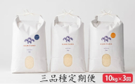 定期便 三品種 米 令和7年 10kg×3回 コメ こめ 萩産 KAMITAMA　｜HG0T0392
