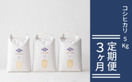 定期便 3か月 コシヒカリ 令和7年 5kg 米 コメ こめ 萩産 KAMITAMA　｜HG0T0586