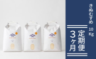 定期便 3か月 きぬむすめ 令和7年 10kg 米 コメ こめ 萩産  KAMITAMA　｜HG0T0589