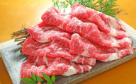 あか牛リブローススライス(あか牛リブローススライス約400g) あか牛 肉 お肉 牛肉 リブロース ロース 霜降り 褐牛 褐毛和種 和牛 国産牛 スライス 薄切り 熊本県 上天草市 冷凍