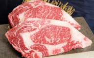 あか牛ロースステーキ(あか牛ロースステーキ約200g×2枚) 計約400g あか牛 肉 お肉 牛肉 ロース ステーキ 霜降り 褐牛 褐毛和種 和牛 国産牛 熊本県 上天草市 冷凍