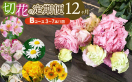 鶴岡産切花の定期便12ヶ月Bコース　花蔵（HANAZO）　K-733