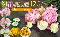 鶴岡産切花の定期便12ヶ月Aコース　花蔵（HANAZO）　K-722