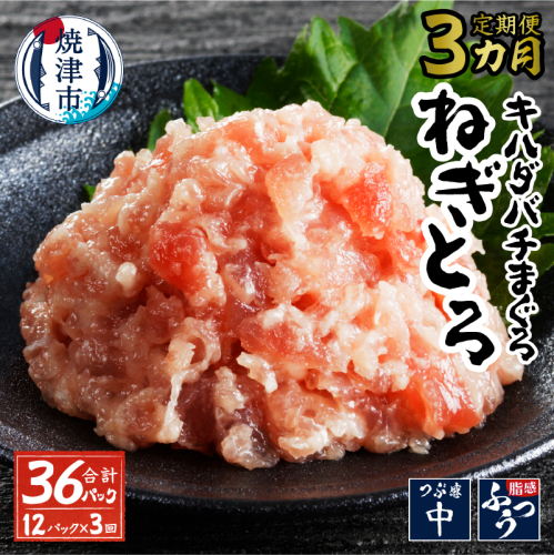 a30-287　【定期便 全3回】キハダマグロ メバチマグロ 80g×12パック 2058887 - 静岡県焼津市