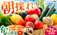 【24回定期便・月2回配送】 土佐の太陽をいっぱいに浴びた旬の野菜10〜13品目と生姜約200gのセット / 高知 土佐 旬 野菜 生姜 詰め合わせ セット 仕送り 【土佐野菜】 [ATBA017]