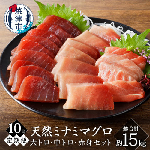 b500-015　【定期便10回】キボシ水産 天然 鮪 南鮪 大トロ 中トロ 赤身食べ比べセット 約1.5kg×10回(定期便) 柵 切り落とし 刺身 海鮮丼 皮なし 2059105 - 静岡県焼津市