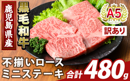 K-479-B ＜訳あり＞鹿児島県産A5等級黒毛和牛不揃いロースミニステーキ(計480g) 【ふるさと産直バザール】霧島市 牛肉 国産 鹿児島県産 赤身肉 不揃い ワケアリ ロース ステーキ 肉 精肉 2059125 - 鹿児島県霧島市