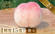 【2025年先行予約】飛騨のたからもも 特上 糖度15度以上（2玉）| 朝採り 桃 もも 極上の甘さ 濃厚 甘い 贈答 農家直送 飛騨の朝採り桃 飛騨高山 つむぎ果樹園 GH014