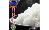 【令和7年産】新潟県産 コシヒカリ 5kg 最高品質のお米を追求 篠宮農場 精米 米 上越市