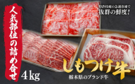 しもつけ牛の人気部位の詰め合せ４㎏ | 牛肉 肉 お肉 バーベキュー 焼肉 カルビ サーロイン ステーキ 人気 産地直送 国産 国産牛 交雑 赤身 霜降り 希少 旨味 旨み 熟成 急速冷凍 テクニカン テクニカン社 スキンパック 真空パック 真空包装 コトラミートカルチャ 栃木県 茂木町