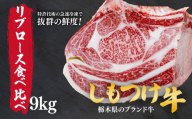 しもつけ牛のリブロース 部位食べ比べ9kg | 牛肉 肉 お肉 焼肉 ステーキ 産地直送 国産 国産牛 赤身 霜降り 希少 旨味 旨み 熟成 テクニカン テクニカン社 スキンパック 真空パック 真空包装 コトラミートカルチャ 栃木県 茂木町