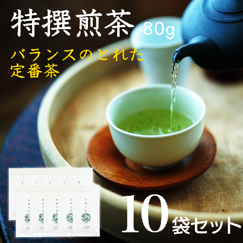 宮崎日本茶専門店 特撰煎茶80g 10本セット お茶 緑茶 ギフト お取り寄せ【E229-2606】 2059694 - 宮崎県新富町