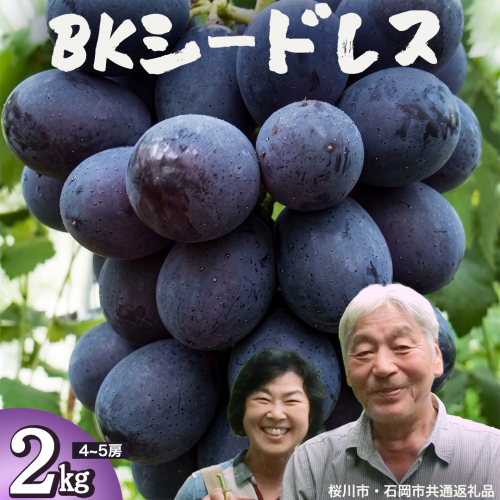 BKシードレス 約2kg (桜川市・石岡市共通返礼品） 2026年9月上旬発送開始 開田ぶどう園 産地直送 フルーツ 甘い 直送 茨城 限定 ギフト ぶどう BKシードレス 果物 [DO009sa] 2060370 - 茨城県桜川市