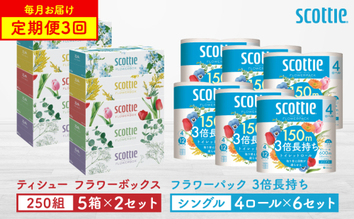 【定期便3回】【毎月1回お届け】【スコッティ】ティシュー フラワーボックス 250組（5箱パック×2セット）＋フラワーパック 3倍長持ち（4ロール(シングル)パックx6セット）ティッシュ トイレットペーパー 日用品 2060372 - 熊本県八代市