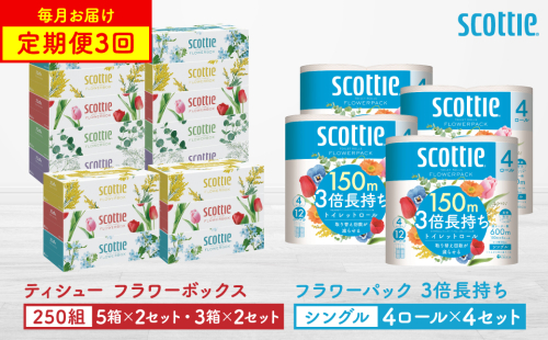 【定期便3回】【毎月1回お届け】【スコッティ】ティシュー フラワーボックス 250組（5箱パック×2セット・3箱パック×2セット）＋フラワーパック 3倍長持ち（4ロール(シングル)パックx4セット）ティッシュ トイレットペーパー 日用品 2060374 - 熊本県八代市