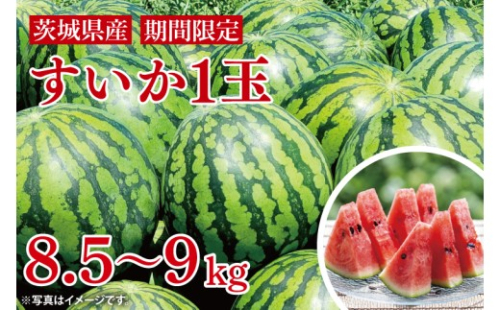 先行予約 スイカ 西瓜 8.5㎏～9㎏ 1玉 山崎農園 産地直送 お取り寄せ 夏 旬 茨城県 阿見町 すいか 西瓜 果物 くだもの フルーツ 国産 甘い 送料無料【2026年5月下旬～7月中旬頃順次発送予定】（70-01-1）