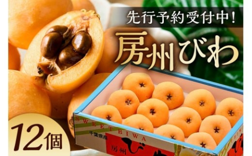 【先行受付 2026年5月下旬～6月中旬発送予定】房州びわ(露地)12粒入2Lサイズ以上1箱 mi0010-0010 【 びわ フルーツ 旬 季節 果物 瑞々しい お取り寄せ グルメ 】