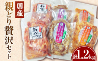 冷凍　国産親どり贅沢セット(スパイシー焼き・スタミナ焼き・ノーマルスライス)_mk166-001