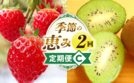 季節の恵み2回定期便C_mk165-t003
