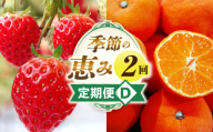 季節の恵み2回定期便D_mk165-t004