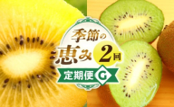 季節の恵み2回定期便G_mk165-t007