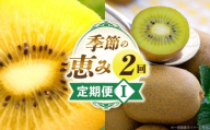 季節の恵み2回定期便I_mk165-t009
