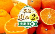 季節の恵み2回定期便K_mk165-t011