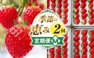 季節の恵み2回定期便M_mk165-t013