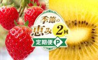 季節の恵み2回定期便P_mk165-t035