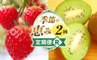 季節の恵み2回定期便R_mk165-t037