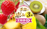季節の恵み3回定期便D_mk165-t019