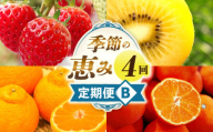 季節の恵み4回定期便B_mk165-t026