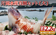 A117p 片岡水産真鯛セット(大)