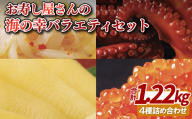 A386p お寿し屋さんの海の幸バラエティセット