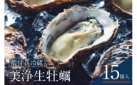 【先行受付】【2025年12月上旬より発送】中野水産 美浄生牡蠣（殻付）15個 牡蠣ナイフ付 ku007-003-25