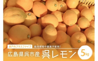 [2025年10月初旬〜発送]広島県呉市産 呉レモン 約5kg ku098-002-25