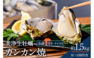 【先行受付】【2025年12月上旬より発送】中野水産 美浄生牡蠣 冷蔵 カンカン焼 軍手、牡蠣ナイフ付 約1.5kg (10～15個程度) ku007-005-25